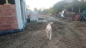 Чопър, Бриз, Варна, строителство, фасада,