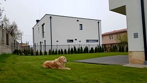 куче, Чопър, двор, къща, Бриз, Варна