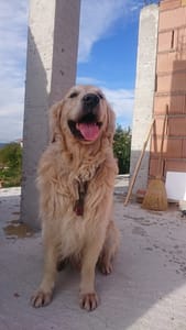 Чопър, Бриз, Варна, сигурност