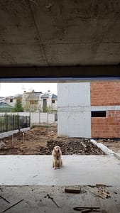 Чопър въху вернада