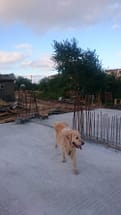 Чопър #Chopar, Бриз, Варна